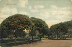 Previous Card