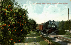 A January Scene