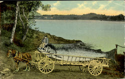 Previous Card