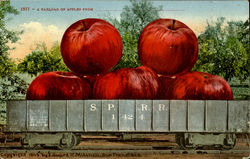 A Carload Of Apples