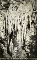 Previous Card