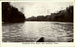 Previous Card