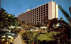 The Caribe Hilton Hotel