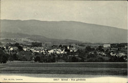 Previous Card