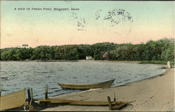 A View Of Fresh Pond
