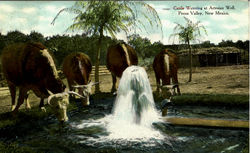Cattle Watering At Artesian Well