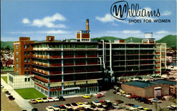 The Williams Manufacturing Co. The Williams Manufacturing Co.