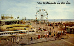 The Wildwoods By The Sea