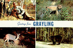 Greeting From Grayling