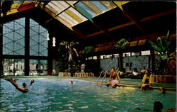 The Curtis Hotel Tropical Pool And Motor Lodge