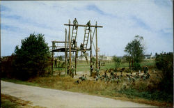 The Confidence Course