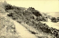Follow The Coast-Line By The Marginal Way Follow The Coast-Line By The Marginal Way