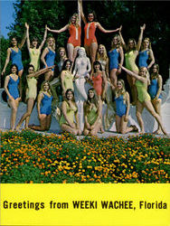 Greetings From Weeki Wachee Greetings From Weeki Wachee