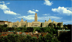Previous Card