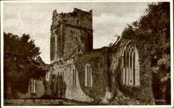 Muckross Abbey From South Killarney