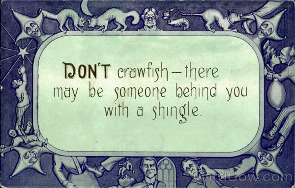 hair funny phrases quotes funny sayings and phrases. hair funny phrases quotes