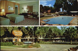 Oak Park Motel, U. S. 17