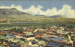 Bird's-Eye View