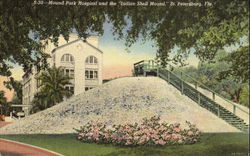 Mound Park Hospital And The Indian Shell Mound