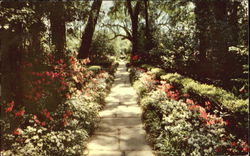 Bellingrath Gardens Bellingrath Gardens