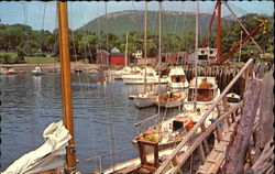 Previous Card