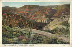 Painted Cliffs