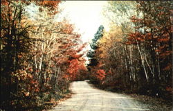 A Paul Bunyan Forest Parkway Scene
