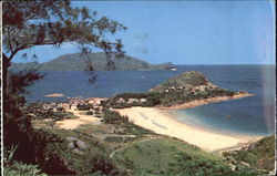 Previous Card