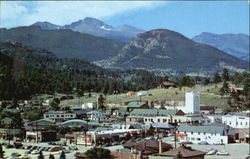 Previous Card