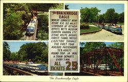 The Brackenridge Eagle