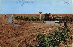 Irrigation Scene