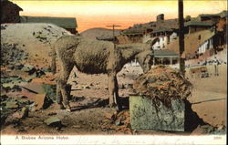 A Bisbee Arizona Hobo