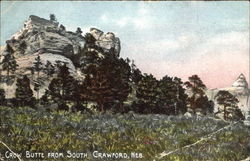 Previous Card