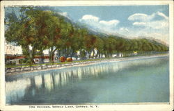 The Willows, Seneca Lake