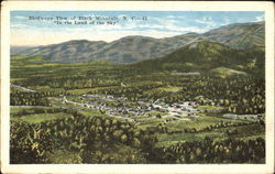 Previous Card