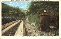 West Entrance, Pisgah National Forest