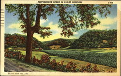 Picturesque Scene In Rural Missouri