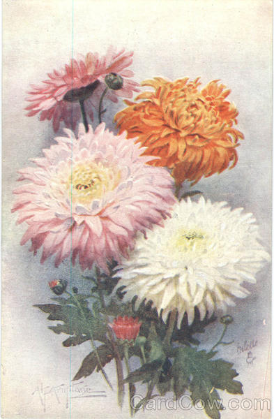 Tuck's Oilette Chrysanthemums Tuck's Oilette Series
