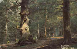 Tuck's Oilette Harz Mountains