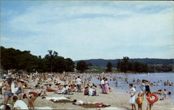 The Beach At Shawnee State Park, Shellsburg The Beach At Shawnee State Park, Shellsburg