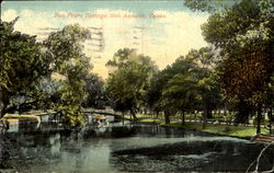 San Pedro Springs