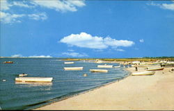 Tuckahoe Acres