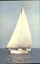 Skipjacks On The Chesapeake Bay