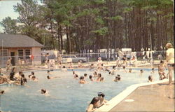 New Point Camp Ground