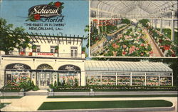 Scheinuk's, 2600 St. Charles Ave.,