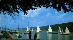 Sailing Regatta