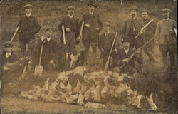 Rabbit Hunting England Rabbit Hunting England