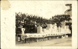 Navy Sailors