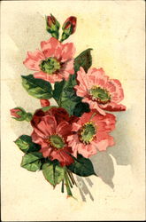 Previous Card