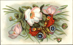 Butterfly, Flowers